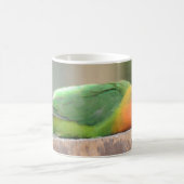 Liebesvogel schlafen kaffeetasse (Mittel)