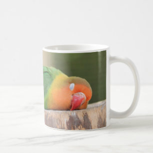 Liebesvogel schlafen kaffeetasse