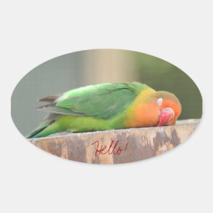 Liebesvogel schlafen ovaler aufkleber