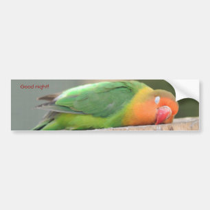 Liebesvogel schlafend autoaufkleber