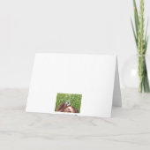 LiebeU3, - Happy Birthday Karte (Rückseite)