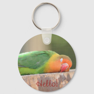 Liebevogelschlafen Schlüsselanhänger