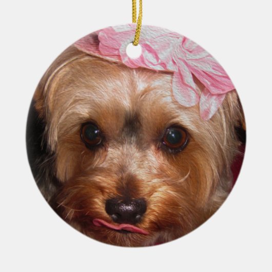 Liebevolle Hüte Yorkie II Keramikornament (Vorne)