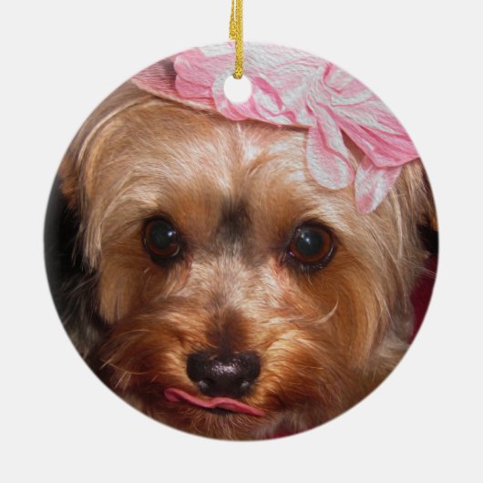 Liebevolle Hüte Yorkie II Keramikornament (Hinten)