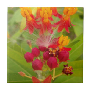 Liebevolles farbenfrohes Florales mit Milkweed-Kun Fliese