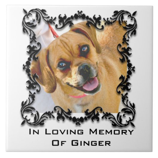 Liebevolles Gedächtnis-Haustier-in der Fliese (Vorderseite)