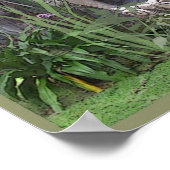 Liebhaber 3 poster (Ecke)