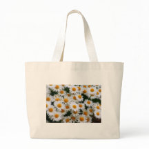 Liebhaber des Gänseblümchen-IMG_0066