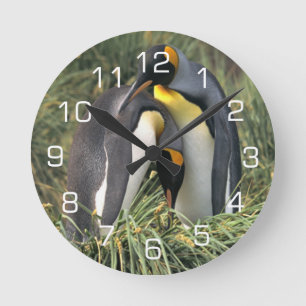Liebhaber König-Pinguin Runde Wanduhr