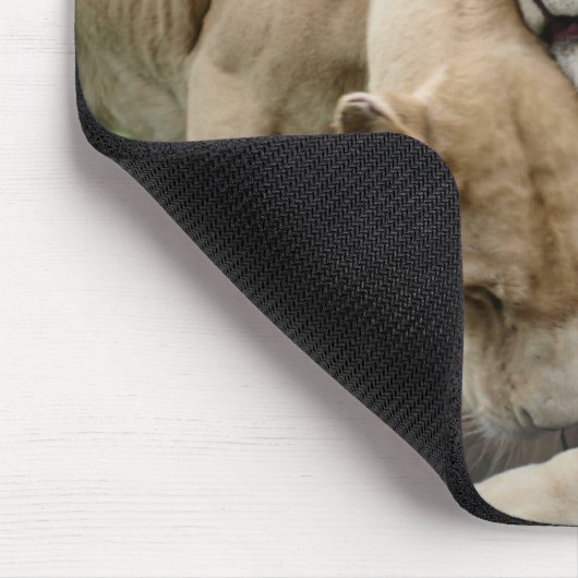 Liebhaber-Löwen Mousepad (Ecke)