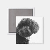 Liebhaber Magnet (Vorderseite/Rückseite)