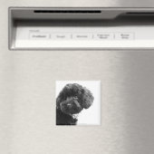 Liebhaber Magnet (In Situ (Geschirrspüler))