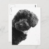 Liebhaber Postkarte (Vorne/Hinten)