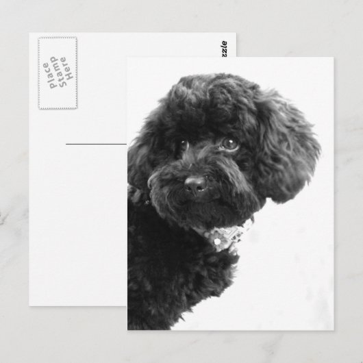 Liebhaber Postkarte (Vorne/Hinten)