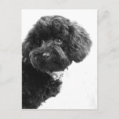 Liebhaber Postkarte (Vorderseite)