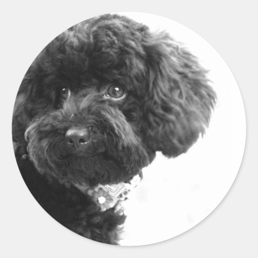 Liebhaber Runder Aufkleber (Vorderseite)