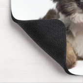 Liebhaber-Valentinsgruß Havanese Hündchen Mousepad (Ecke)