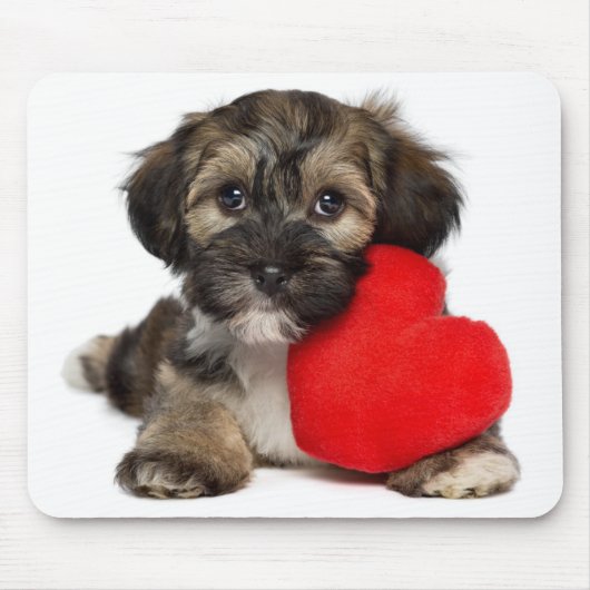 Liebhaber-Valentinsgruß Havanese Hündchen Mousepad (Vorne)