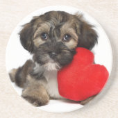 Liebhaber-Valentinsgruß Havanese Hündchen Sandstein Untersetzer (Vorne)