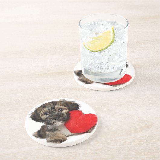 Liebhaber-Valentinsgruß Havanese Hündchen Sandstein Untersetzer (Seite)