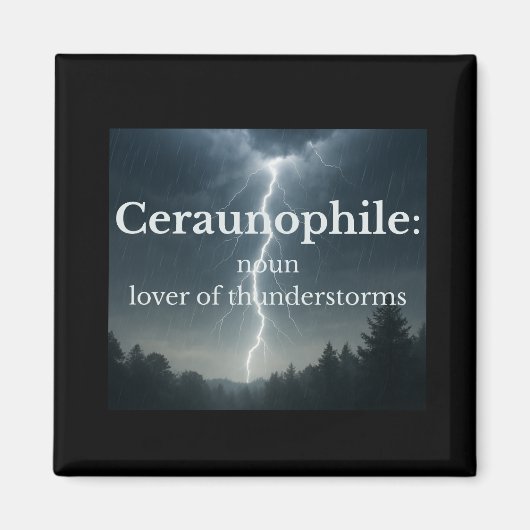 Liebhaber von Gewittern Magnet (Vorne)