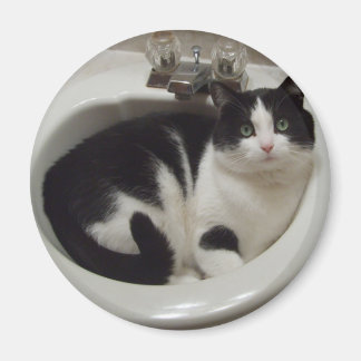 Liebhaber von Katzen Magnet