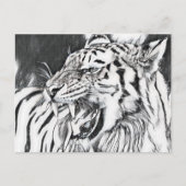 Liebhaber von niedlichen Tigern Postkarte (Vorderseite)