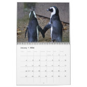 Liebhaberschwäne Schöne Vogelsammlung Foto Collect Kalender (Jan 2026)