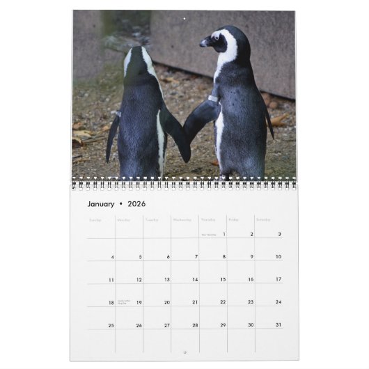 Liebhaberschwäne Schöne Vogelsammlung Foto Collect Kalender (Jan 2026)