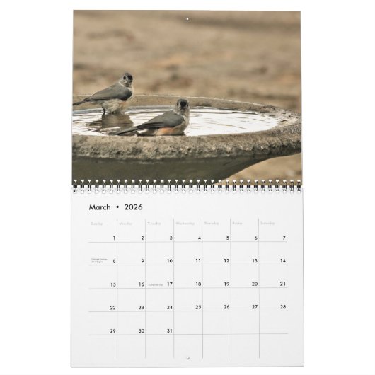 Liebhaberschwäne Schöne Vogelsammlung Foto Collect Kalender (Mär 2026)
