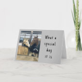 "LIEBING HORSES" GLÜCKLICHE BIRTHDAKARTE KARTE (Vorderseite)