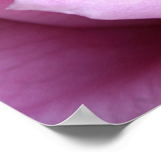 Lieblich in lilac poster (Ecke)