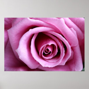 Lieblich in lilac poster