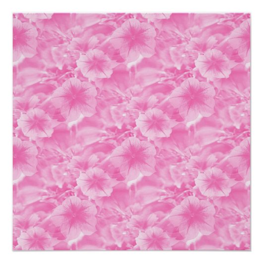 Lieblich in Rosa. Poster (Vorderseite)