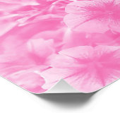 Lieblich in Rosa. Poster (Ecke)