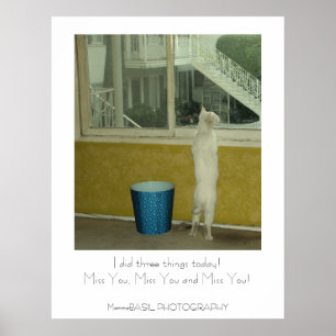 Lieblich Miss You Poster! Poster