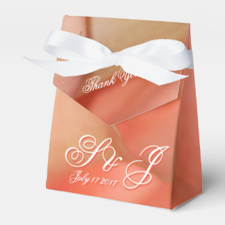 Lieblich pfirsichfarben geschenkschachtel