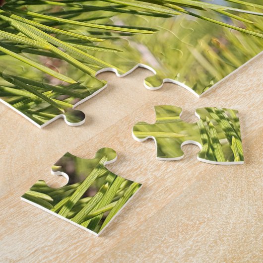 Lieblich! Puzzle - Single Pine Cone in Tree (Seite)