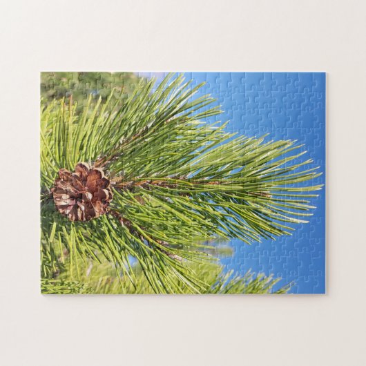 Lieblich! Puzzle - Single Pine Cone in Tree (Horizontal)