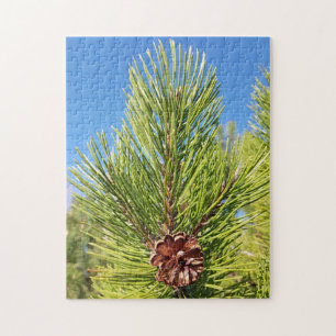 Lieblich! Puzzle - Single Pine Cone in Tree