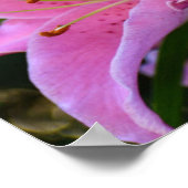Lieblich rosa Lily bluboms floral Poster (Ecke)
