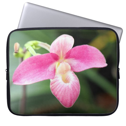 Lieblich rosa Orchid Laptopschutzhülle (Vorderseite)