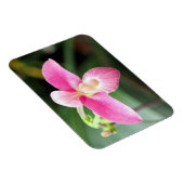 Lieblich rosa Orchid Magnet (Rechte Seite)