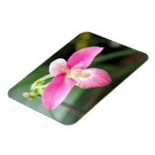 Lieblich rosa Orchid Magnet (Linke Seite)