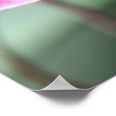 Lieblich rosa Orchid Poster (Ecke)