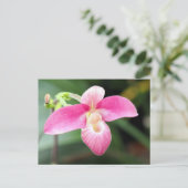 Lieblich rosa Orchid Postkarte (Stehend Vorderseite)