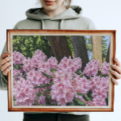 Lieblich rosa Rhododendron Fotodruck