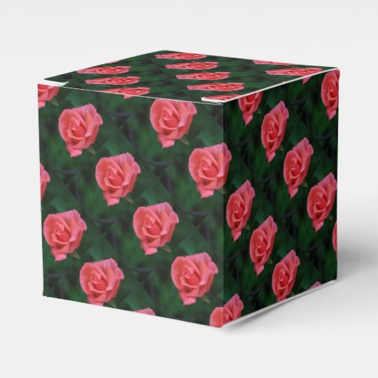 Lieblich rosa Rose Geschenkschachtel (Vorderseite)