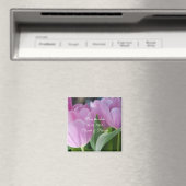 Lieblich rosa Tulips Rett date Magnet (In Situ (Geschirrspüler))