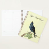 Lieblich Singing Black Bird auf Branch-Raupe Planer (Anzeige)